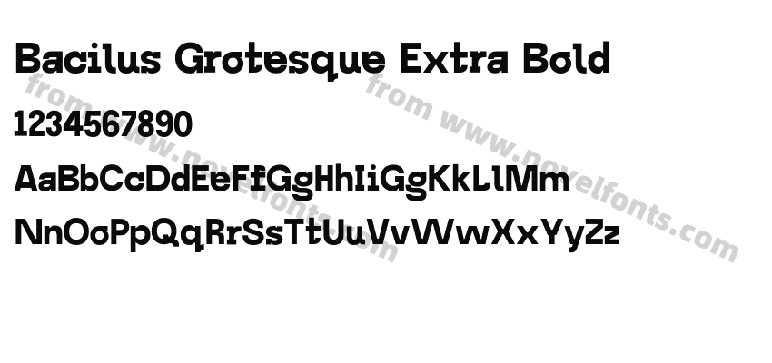 Bacilus Grotesque Extra BoldPreview