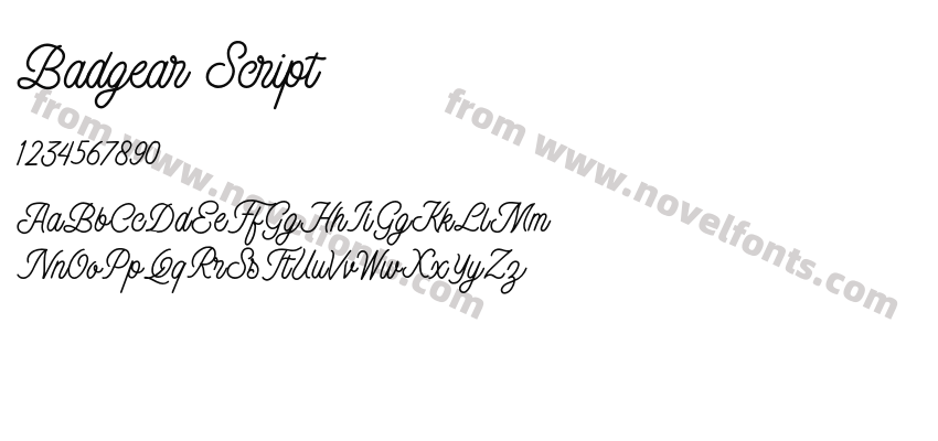 Badgear ScriptPreview