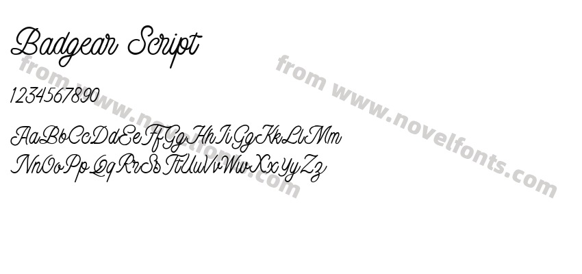 Badgear ScriptPreview
