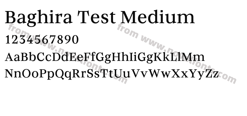 Baghira Test MediumPreview