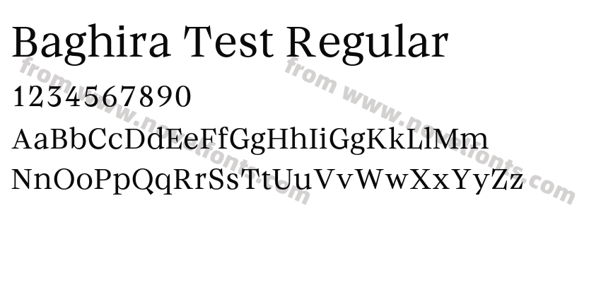 Baghira Test RegularPreview
