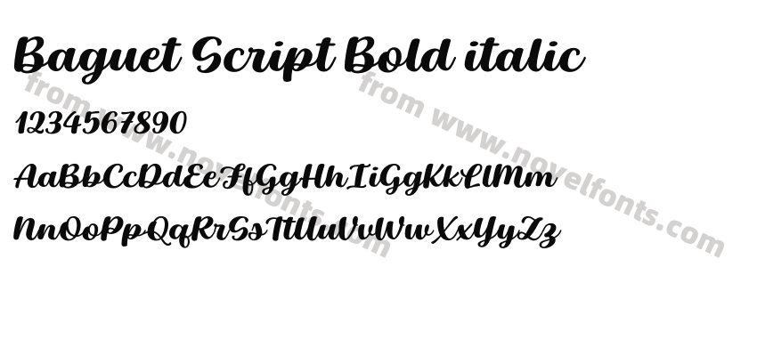 Baguet Script Bold italicPreview