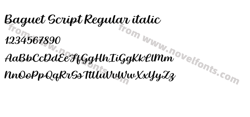 Baguet Script Regular italicPreview
