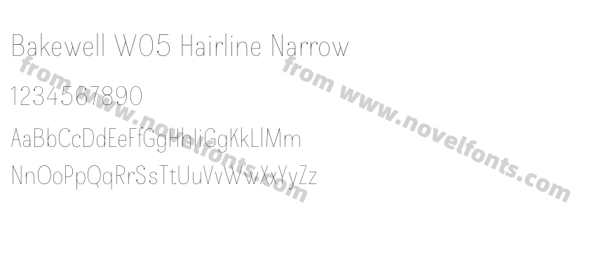 Bakewell W05 Hairline NarrowPreview