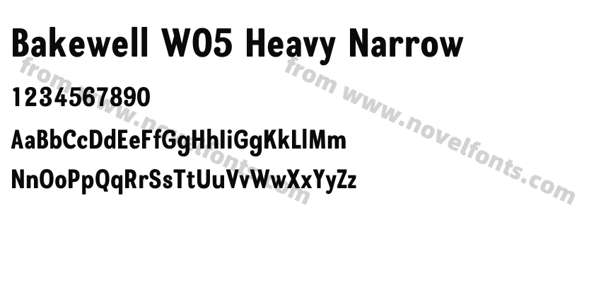 Bakewell W05 Heavy NarrowPreview