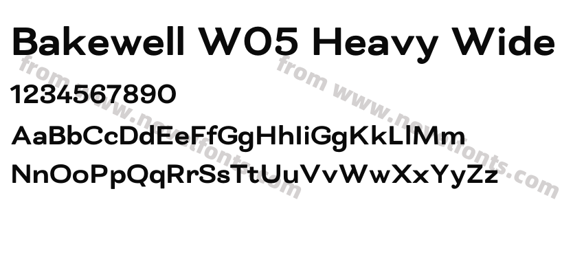 Bakewell W05 Heavy WidePreview