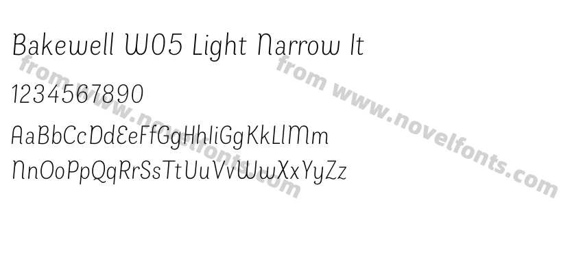 Bakewell W05 Light Narrow ItPreview