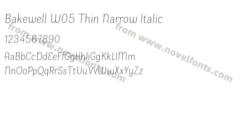 Bakewell W05 Thin Narrow ItalicPreview