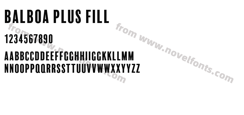 Balboa Plus FillPreview