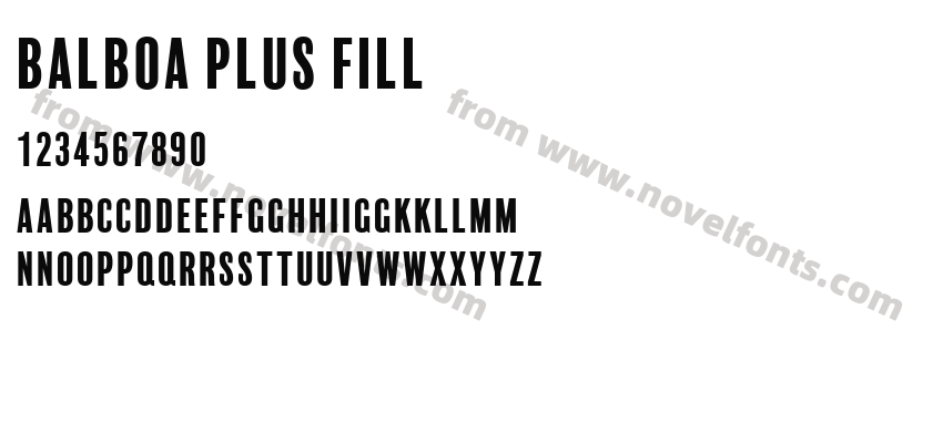 Balboa Plus FillPreview