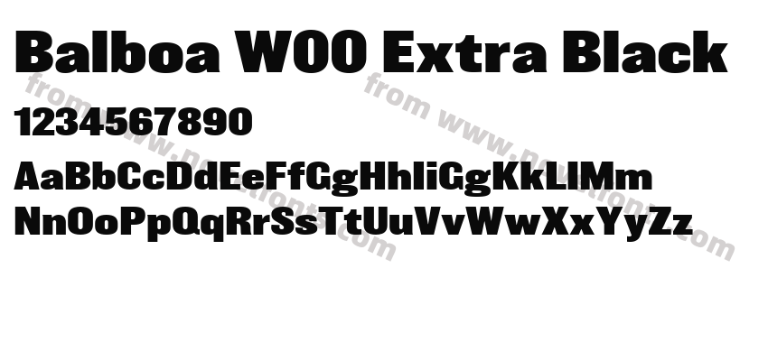 Balboa W00 Extra BlackPreview