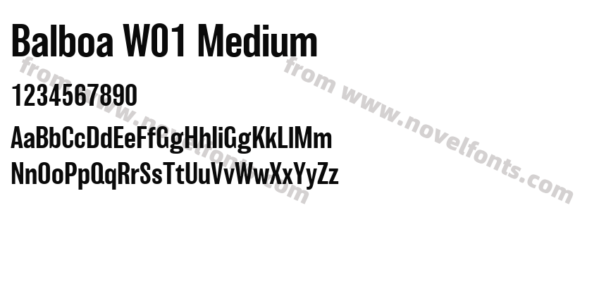 Balboa W01 MediumPreview