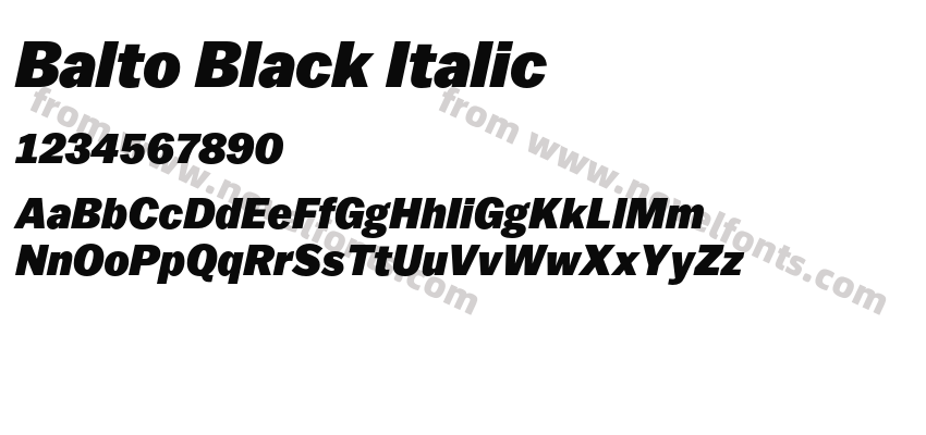 Balto Black ItalicPreview