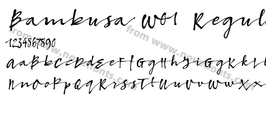 Bambusa W01 RegularPreview