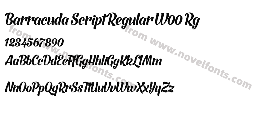 Barracuda Script Regular W00 RgPreview
