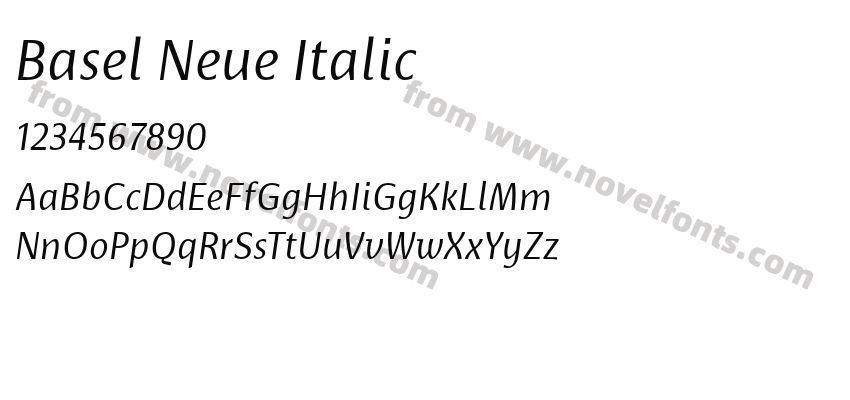 Basel Neue ItalicPreview