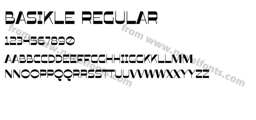 Basikle RegularPreview