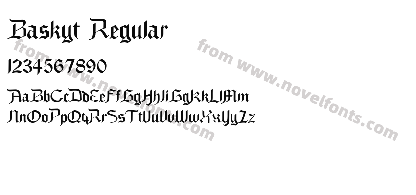 Baskyt RegularPreview