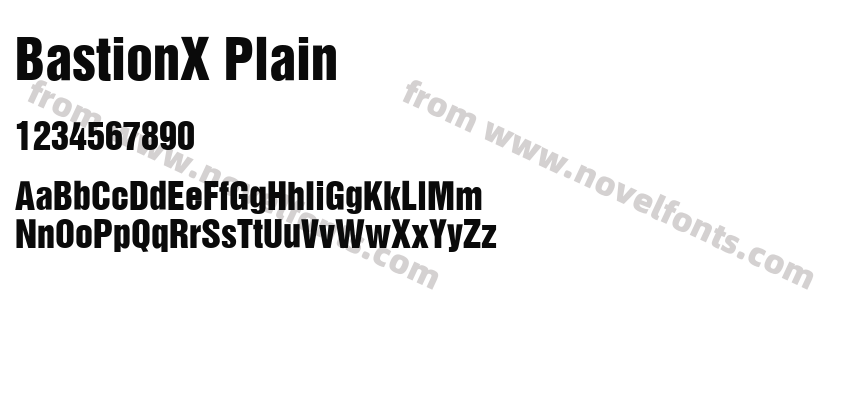 BastionX PlainPreview
