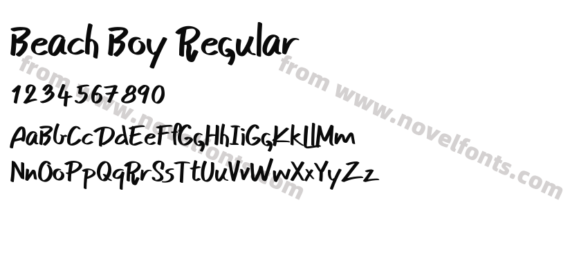 Beach Boy RegularPreview