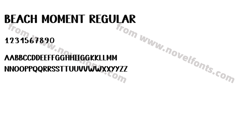 Beach Moment RegularPreview