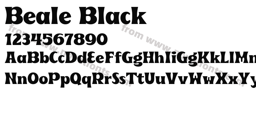 Beale BlackPreview