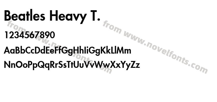 Beatles Heavy T.Preview