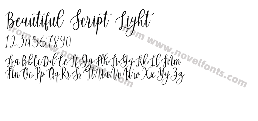 Beautiful Script LightPreview