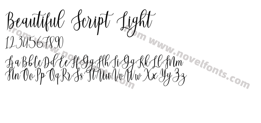 Beautiful Script LightPreview