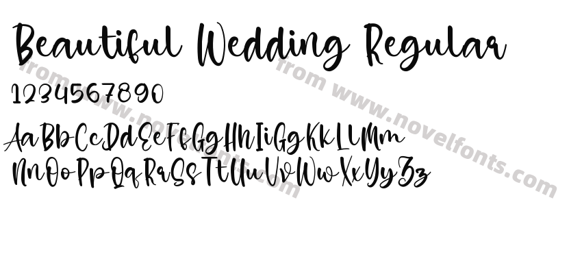 Beautiful Wedding RegularPreview