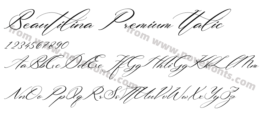 Beautilina Premium ItalicPreview