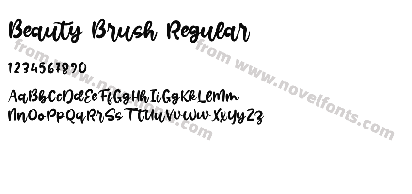 Beauty Brush RegularPreview