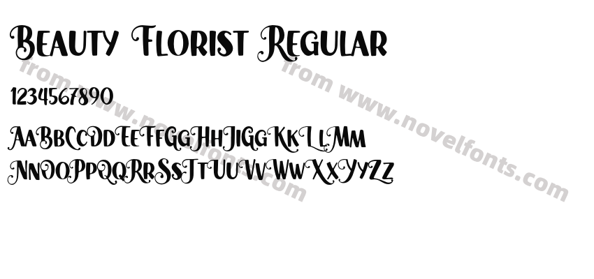 Beauty Florist RegularPreview