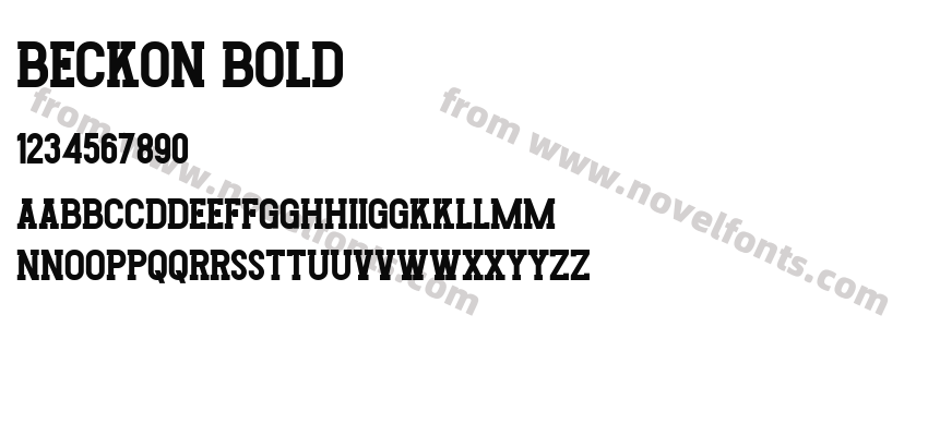 Beckon BoldPreview