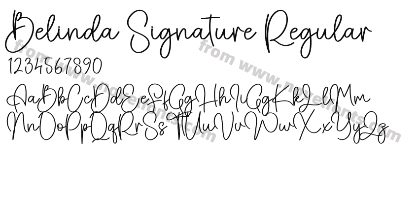 Belinda Signature RegularPreview