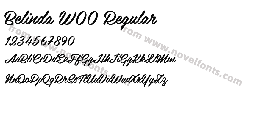 Belinda W00 RegularPreview