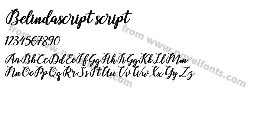 Belindascript scriptPreview