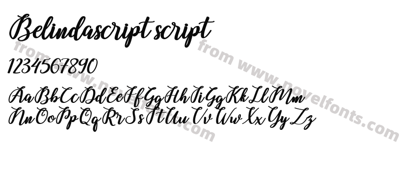 Belindascript scriptPreview