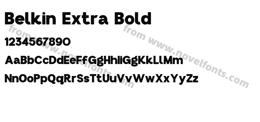 Belkin Extra BoldPreview