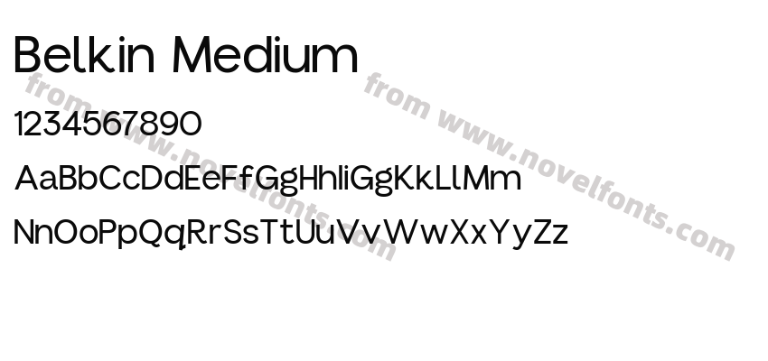 Belkin MediumPreview