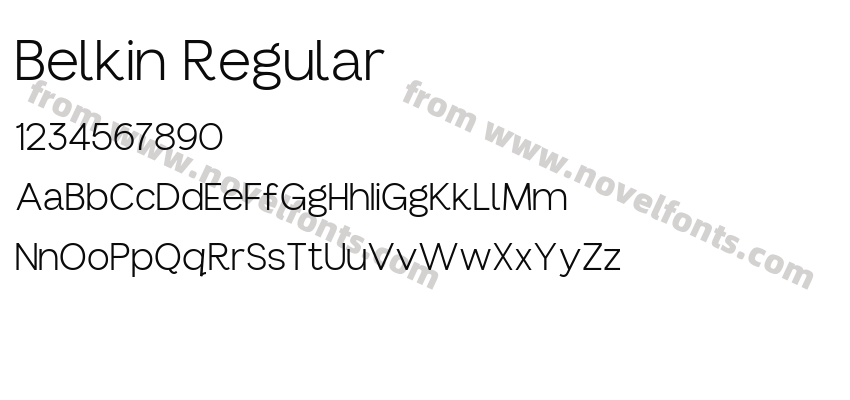Belkin RegularPreview