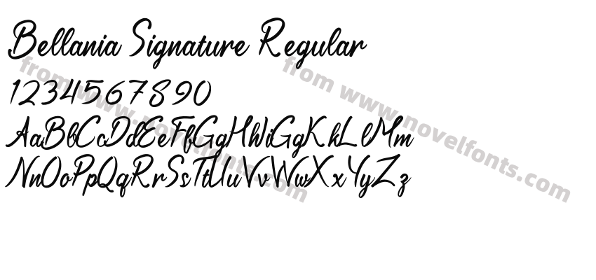 Bellania Signature RegularPreview