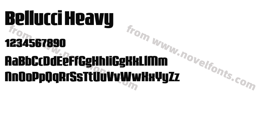 Bellucci HeavyPreview