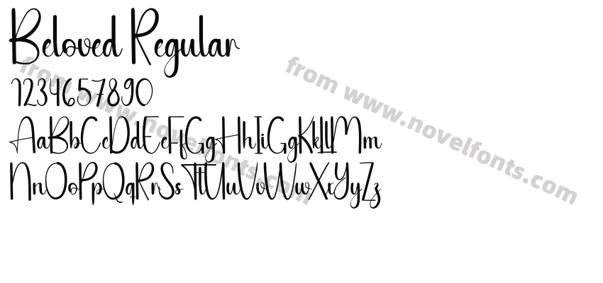 Beloved RegularPreview