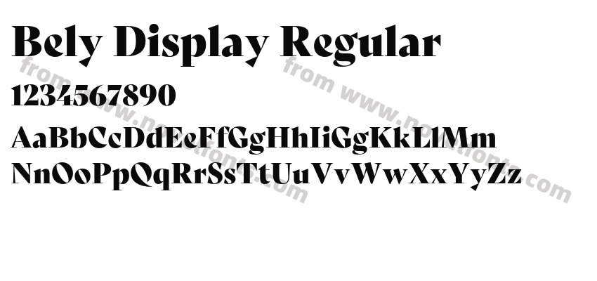 Bely Display RegularPreview