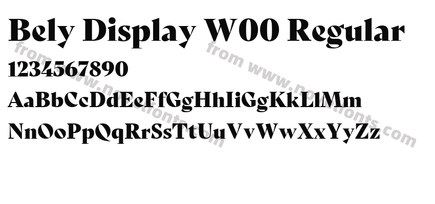 Bely Display W00 RegularPreview