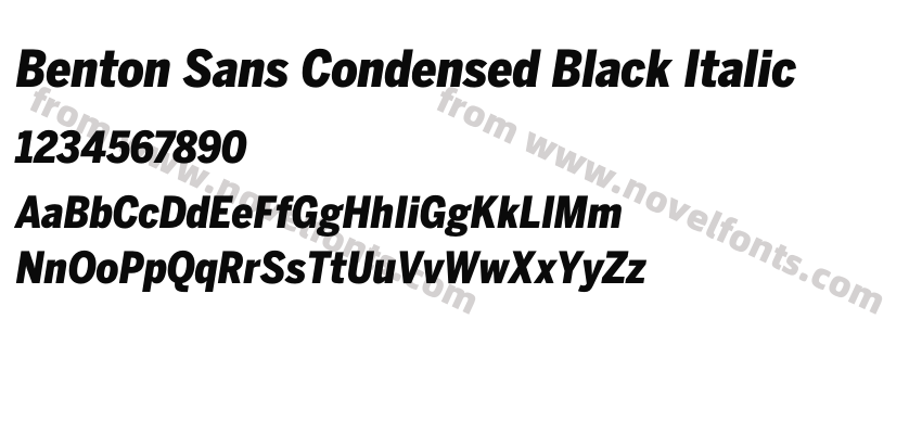 Benton Sans Condensed Black ItalicPreview