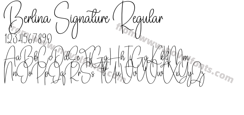Berlina Signature RegularPreview