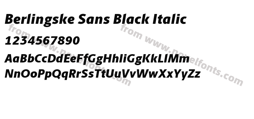 Berlingske Sans Black ItalicPreview