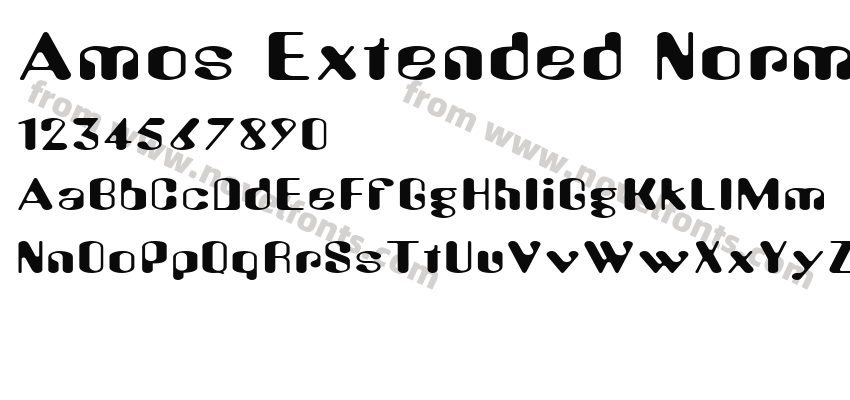 Amos Extended NormalPreview